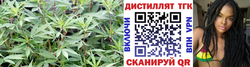 что такое наркотик  Томск  ТГК THC oil 