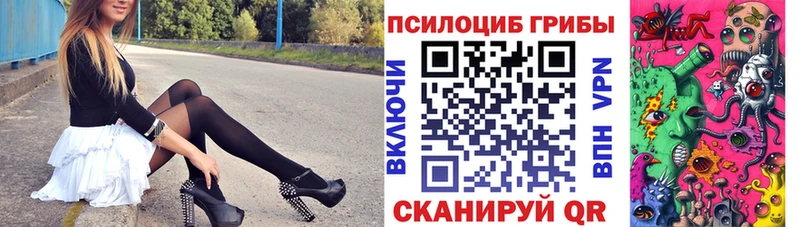 OMG tor  Томск  Псилоцибиновые грибы прущие грибы  где продают  