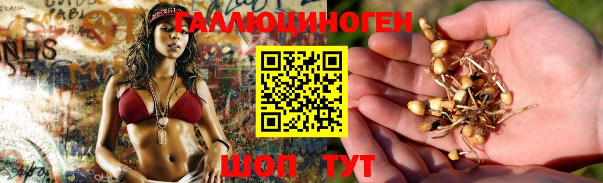 Псилоцибиновые грибы прущие грибы  Вход с VPN  Томск 